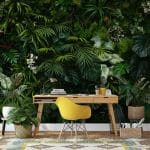Les plantes et motifs organiques en décoration