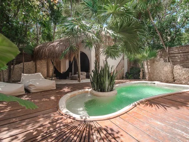 maison avec piscine privee Hotel Design Papaya Playa Project