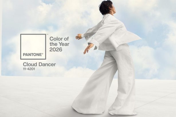Pantone 11 4201 Cloud Dancer couleur annee 2026